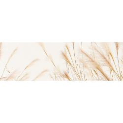 <span style="color: #07aefc"></span>素材