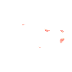 <span style="color: #07aefc"></span>素材