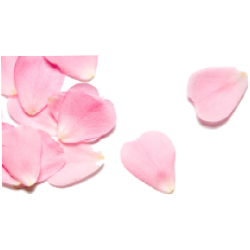 <span style="color: #07aefc"></span>素材