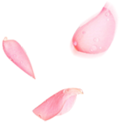 <span style="color: #07aefc"></span>素材