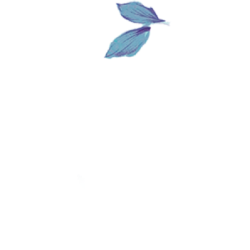 <span style="color: #07aefc"></span>素材