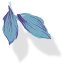 <span style="color: #07aefc"></span>素材