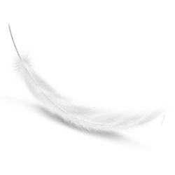 <span style="color: #07aefc"></span>素材