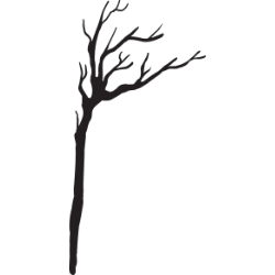 <span style="color: #07aefc"></span>素材