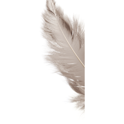 <span style="color: #07aefc"></span>素材