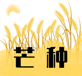 <span style="color: #07aefc"></span>芒种朋友圈封面模板在线设计制作生成二维码模板图片