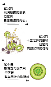 <span style="color: #07aefc"></span>新鲜水果猕猴桃产品展示图在线制作生成二维码模板图片