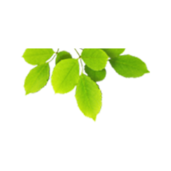 <span style="color: #07aefc"></span>素材