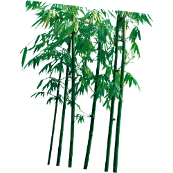 <span style="color: #07aefc"></span>素材