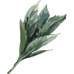 <span style="color: #07aefc"></span>素材