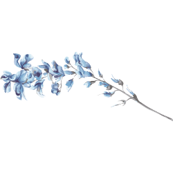 <span style="color: #07aefc"></span>素材