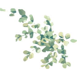 <span style="color: #07aefc"></span>素材