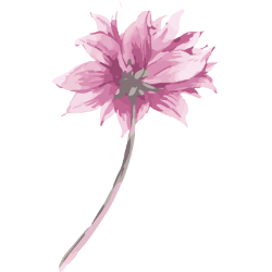 <span style="color: #07aefc"></span>素材