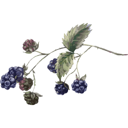 <span style="color: #07aefc"></span>素材