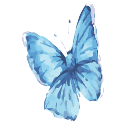 <span style="color: #07aefc"></span>素材