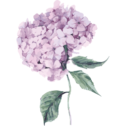 <span style="color: #07aefc"></span>素材