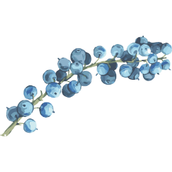 <span style="color: #07aefc"></span>素材