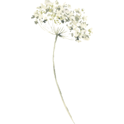 <span style="color: #07aefc"></span>素材