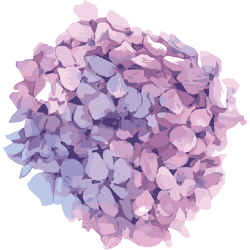 <span style="color: #07aefc"></span>素材