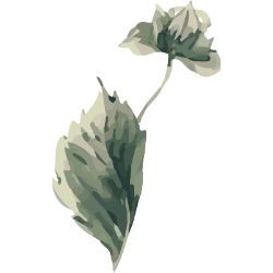 <span style="color: #07aefc"></span>素材