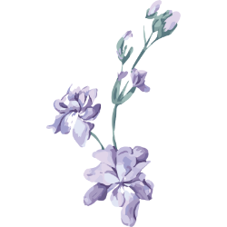 <span style="color: #07aefc"></span>素材