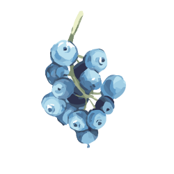 <span style="color: #07aefc"></span>素材