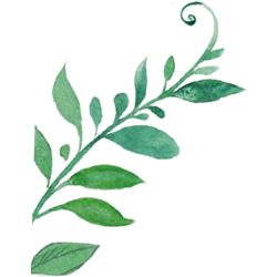 <span style="color: #07aefc"></span>素材