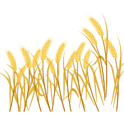 <span style="color: #07aefc"></span>素材