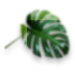 <span style="color: #07aefc"></span>素材