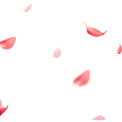 <span style="color: #07aefc"></span>素材