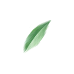 <span style="color: #07aefc"></span>素材
