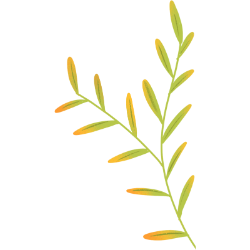 <span style="color: #07aefc"></span>素材