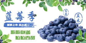 <span style="color: #07aefc"></span>蓝莓季移动端淘宝banner在线制作生成二维码模板图片